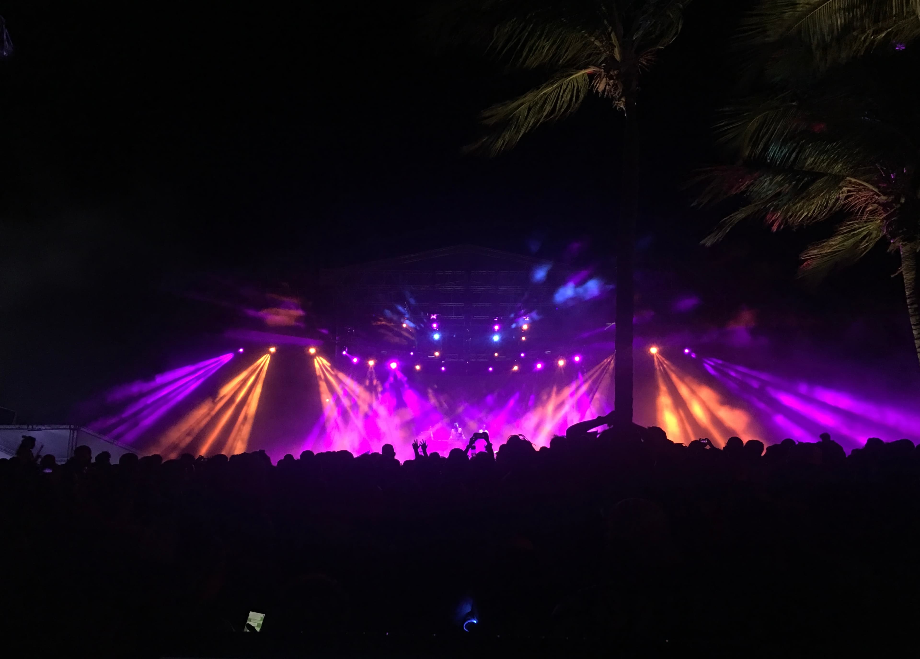 Electric Paradise